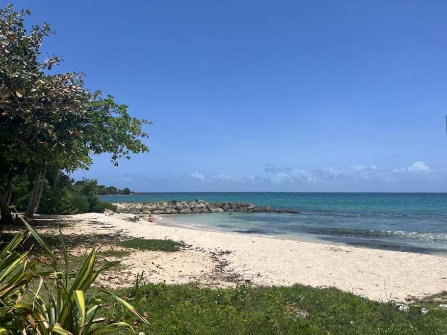 Jardin Tropical - 4 Personnes Le Gosier Appartement Le Gosier (Grande-Terre)