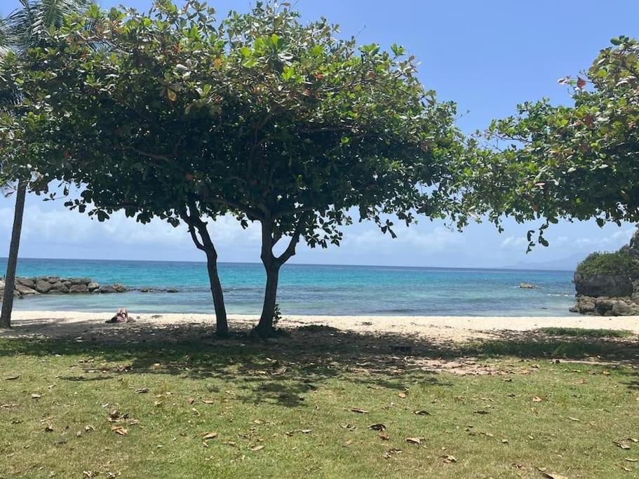 Appartement Jardin Tropical - 4 Personnes Le Gosier *